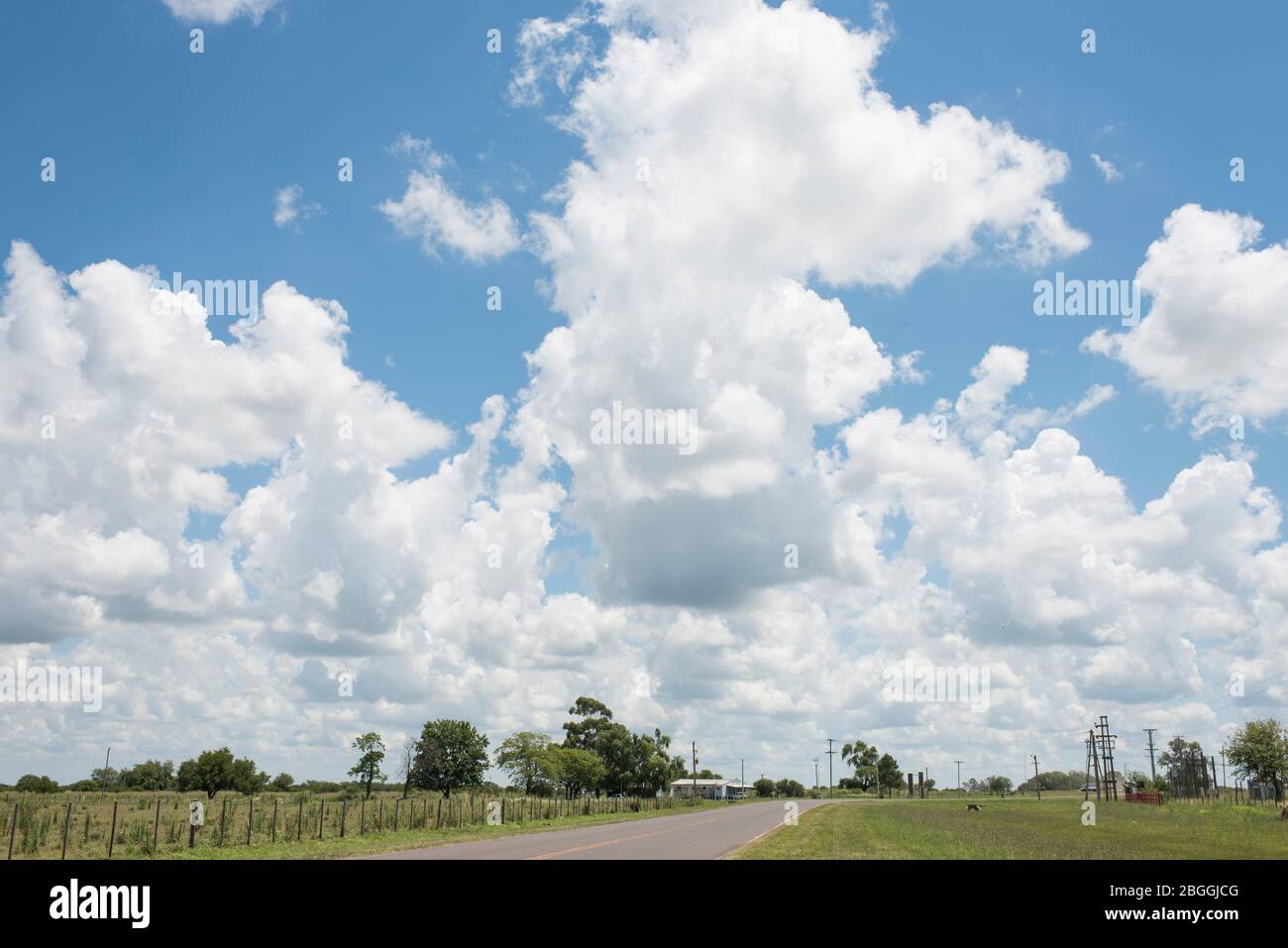 Paysage routier, été, ciel bleu et nuages blancs Banque D'Images