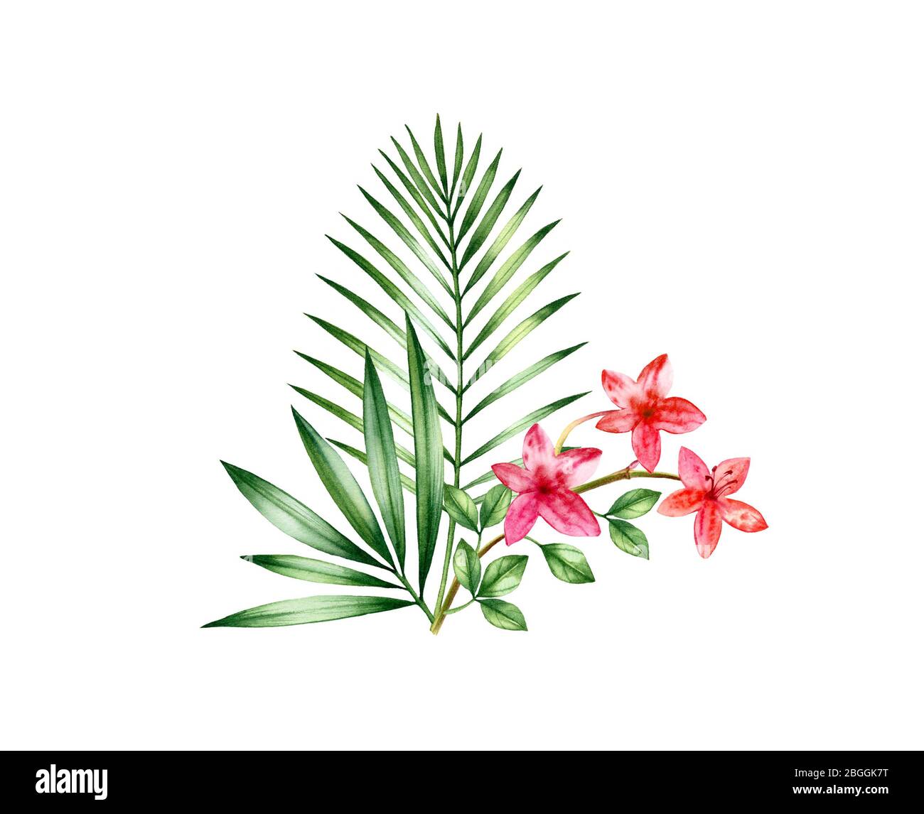 Bouquet tropical aquarelle. Arrangement floral avec fleurs vibrantes et feuilles de palmiers. Plantes exotiques colorées isolées sur blanc. Dessin botanique à la main Banque D'Images