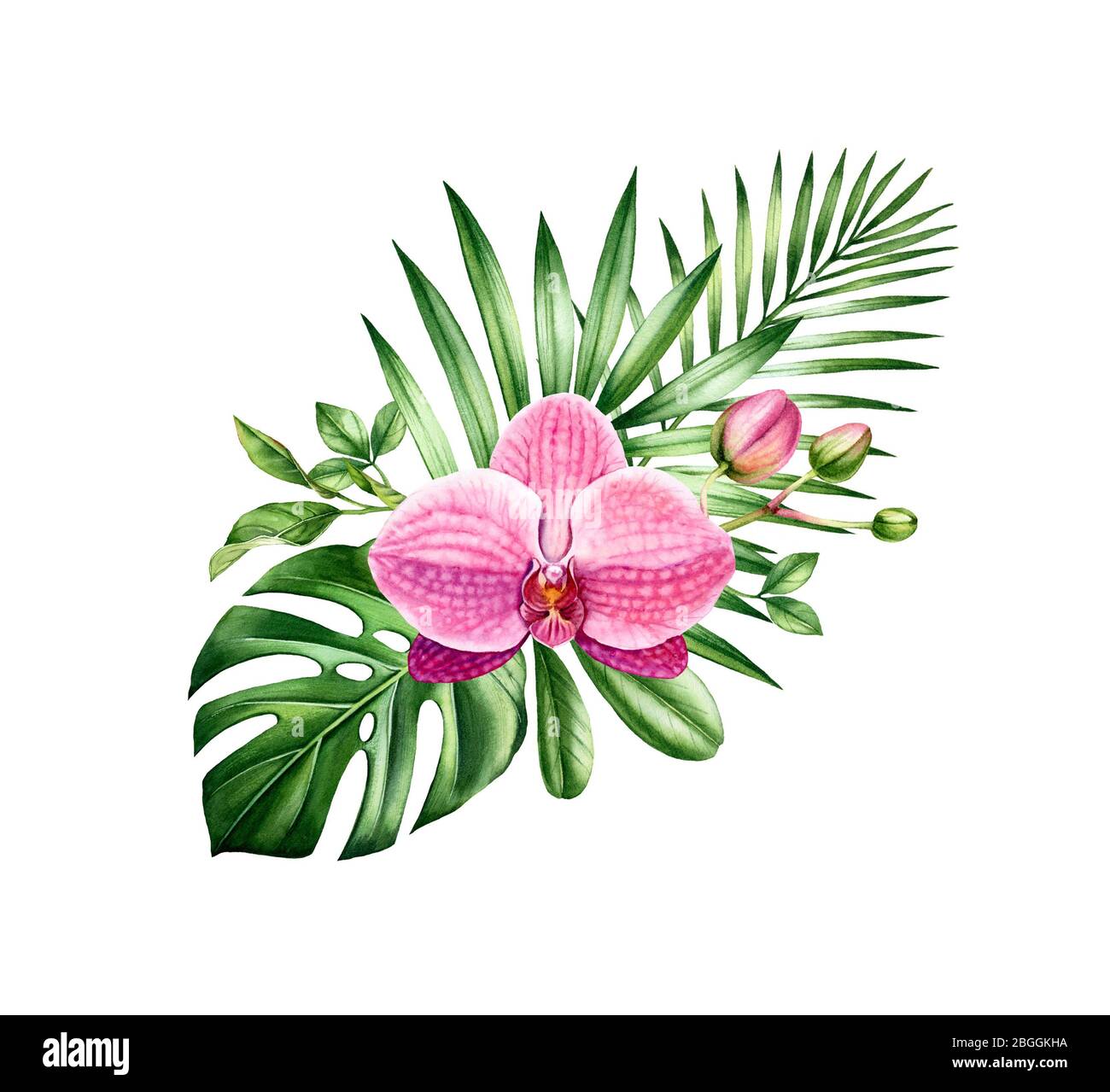 Bouquet tropical aquarelle. Arrangement d'orchidée rose et de feuilles de palmier. Fond tropical peint à la main. Illustrations botaniques isolées sur blanc. Banque D'Images