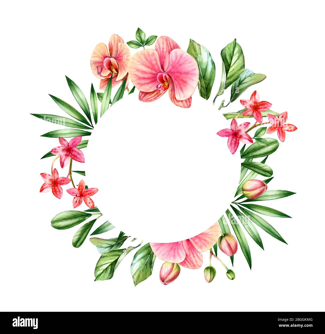 Fond fleuri aquarelle. Orchidées orange et feuilles de palmier. Cadre arrondi avec emplacement pour le texte. Fond tropical peint à la main pour les cartes Banque D'Images