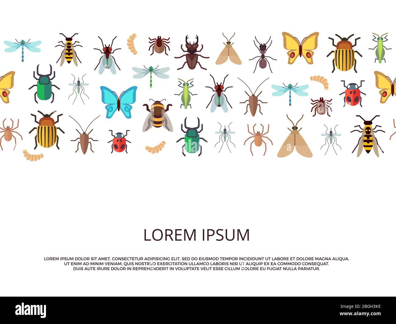 Icônes vectorielles plates insectes fond ou modèle de bannière. Illustration vectorielle Illustration de Vecteur