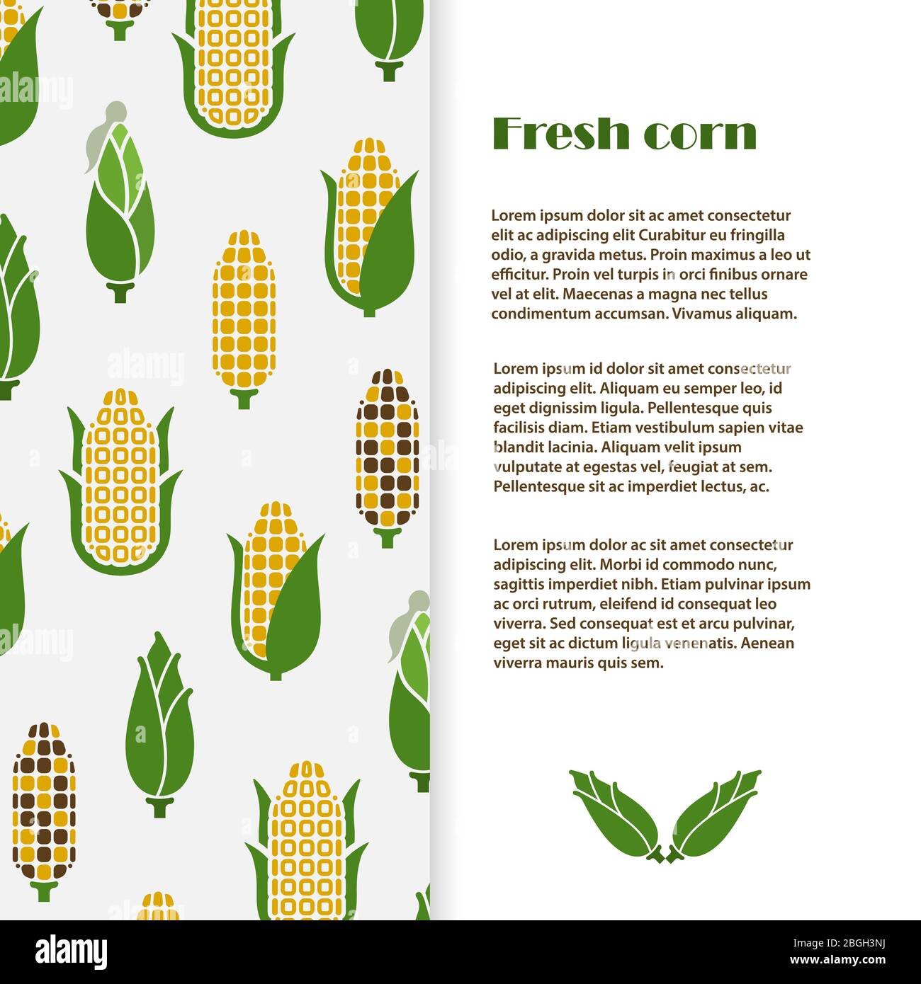 Motif en forme de bannière de maïs frais ou de modèle d'affiche. Illustration de la brochure de récolte vectorielle Illustration de Vecteur