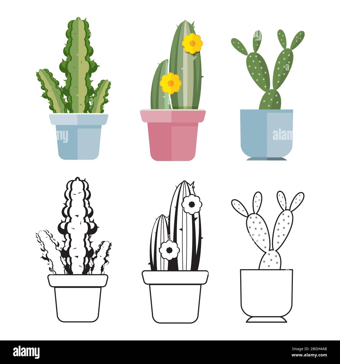 Cactus plat de dessin à la main et de couleur de dessin animé de set. Illustration vectorielle Illustration de Vecteur