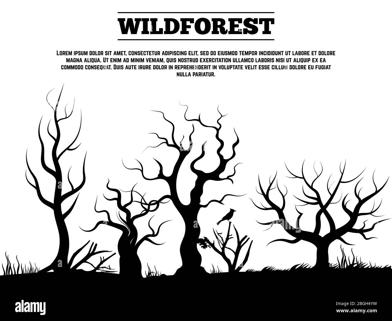 Bannière et affiche de fond noir sauvage du paysage forestier ancien. Illustration vectorielle Illustration de Vecteur