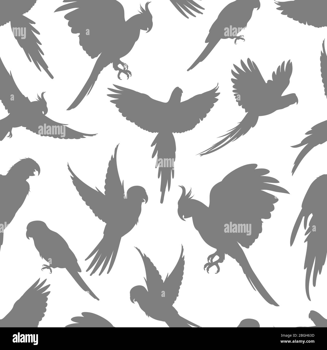 Silhouette de perroquets gris clair sur fond blanc sans couture. Illustration vectorielle Illustration de Vecteur