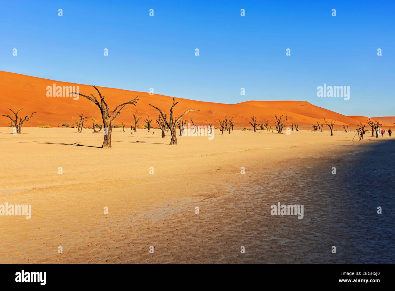 Vue panoramique sur les dunes de sable du désert namibien, près de Sossusvlei, dans le parc national du Namib-Naukluft, en Namibie. Banque D'Images