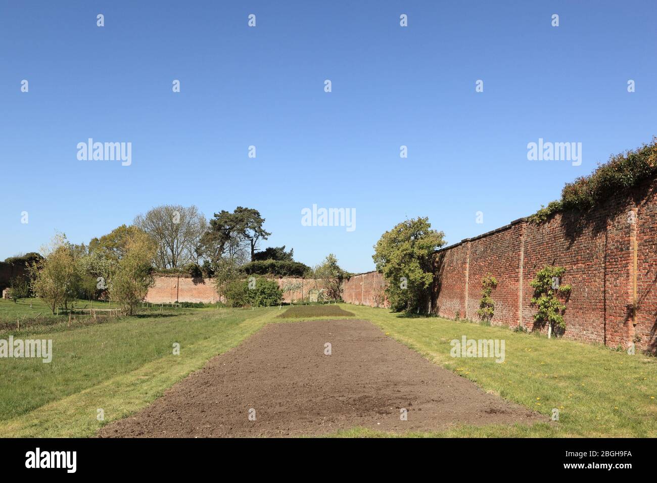 Jardin clos bio et sauvage avec arbres fruitiers fleuris et parcelles cultivées au printemps Banque D'Images