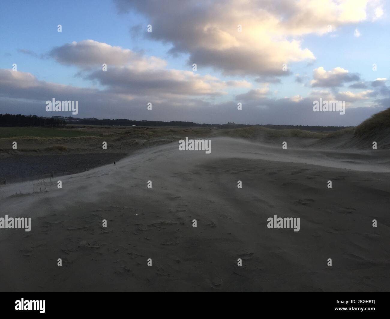 Sable soufflé par le vent dérivant sur les dunes côtières sous un ciel hivernal dramatique sur la côte de Jæren, Rogaland, Norvège Banque D'Images