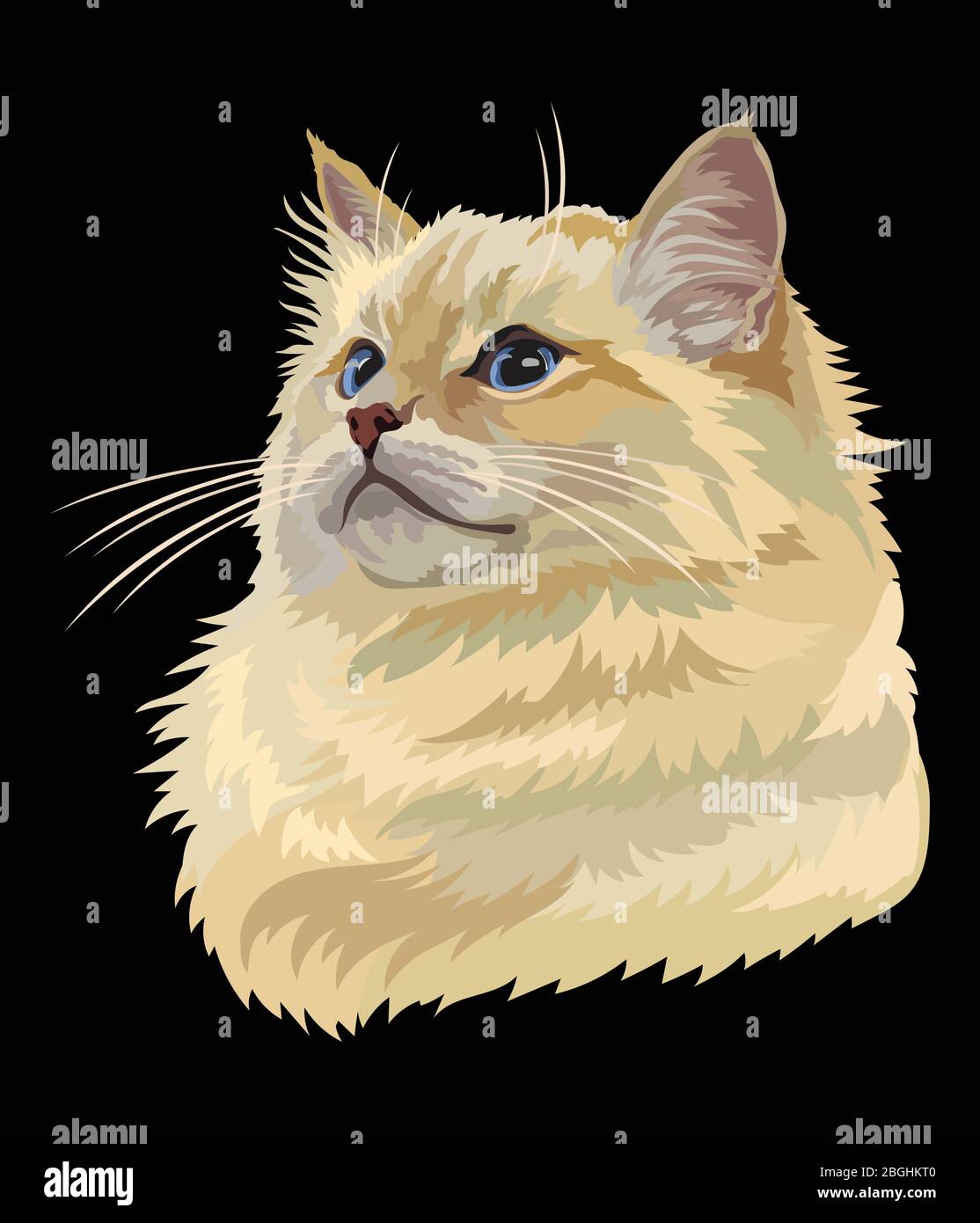 Portrait coloré de dessin vectoriel de chat de ragdoll. Portrait rétro coloré réaliste de chat. Illustration vectorielle vintage isolée sur fond noir.IM Illustration de Vecteur