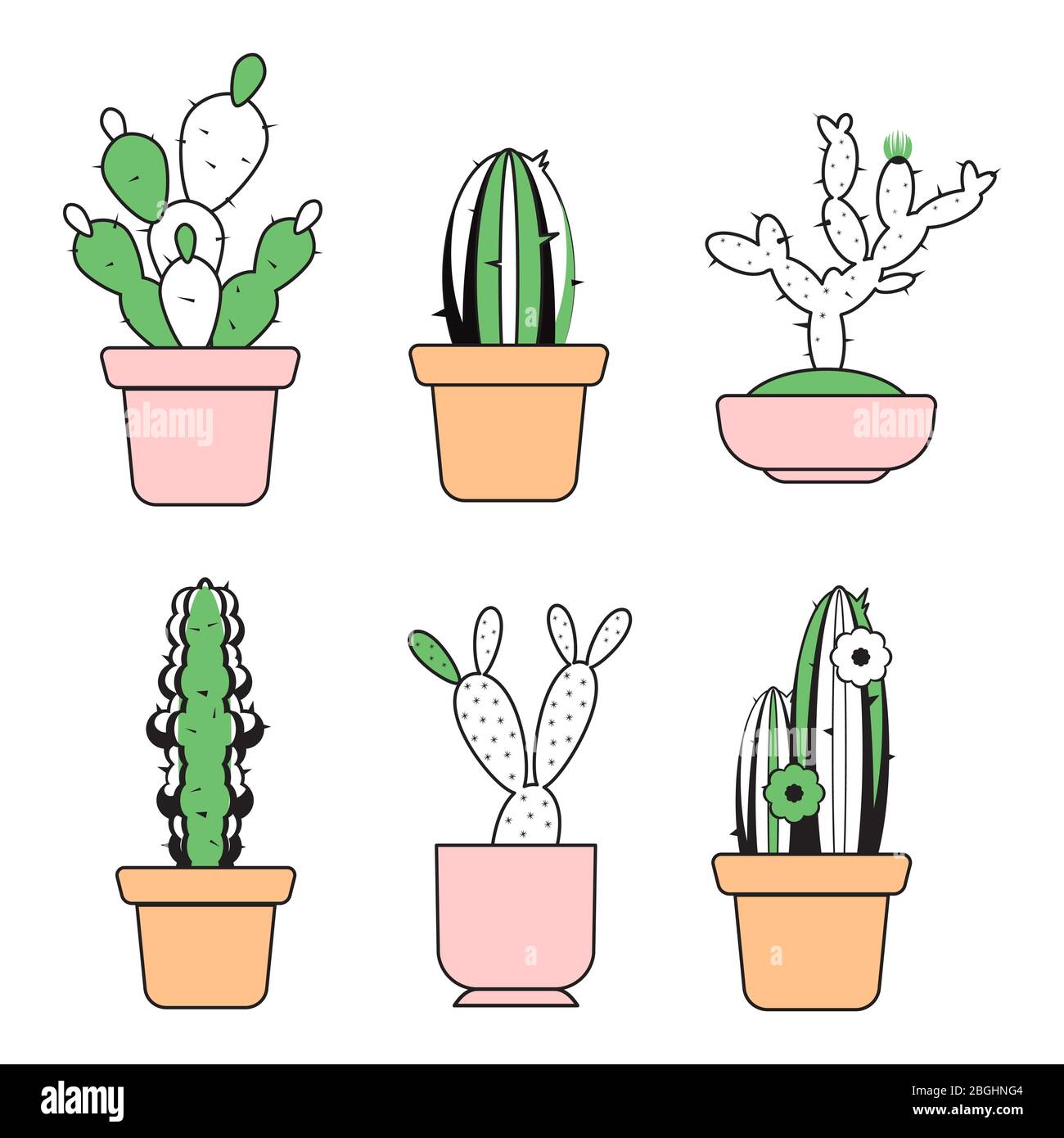 Vecteur dessiné à la main, le cactus est dessiné dans des pots avec des éléments de couleur illustration Illustration de Vecteur
