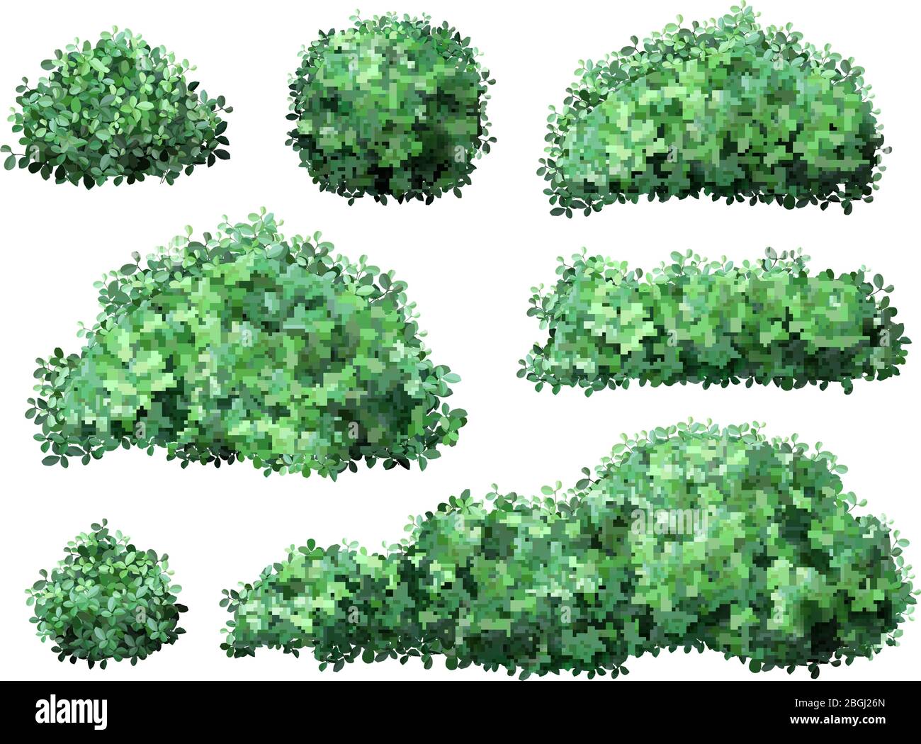 Arbustes réalistes de jardin. Nature vert saison buisson, buis, branches et feuilles florales, feuillage de buisson de couronne d'arbre. Vecteur de clôture vert de jardin Illustration de Vecteur