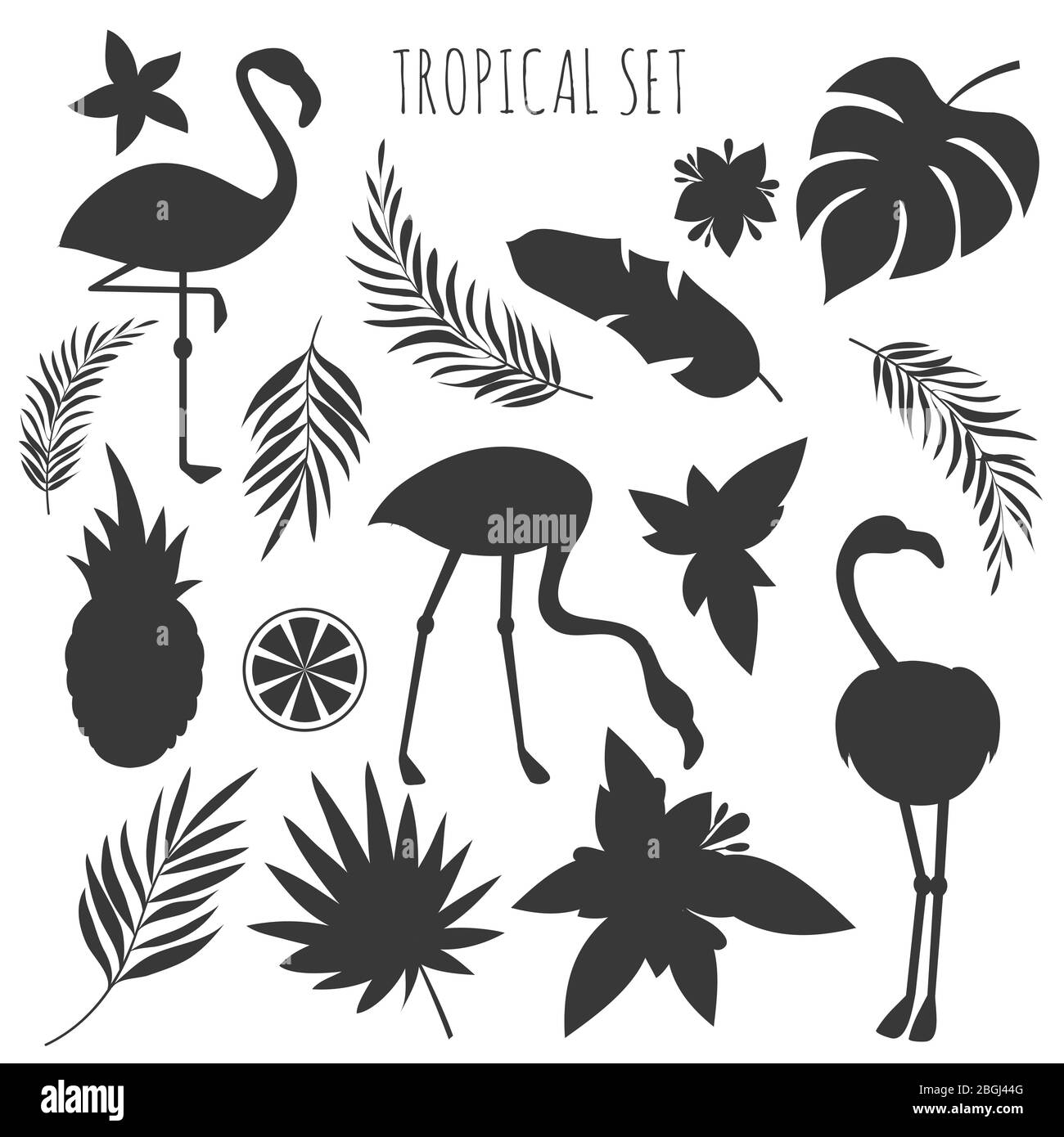 Plantes tropicales grises et modèles de silhouettes flamingos. Oiseau exotique et feuille tropique de palmiers. Illustration vectorielle Illustration de Vecteur