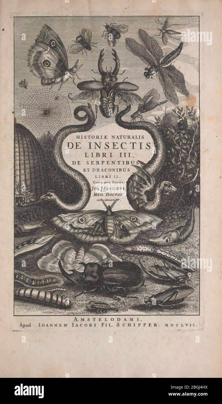 Historiae naturalis de quadrupedibus libri Banque D'Images