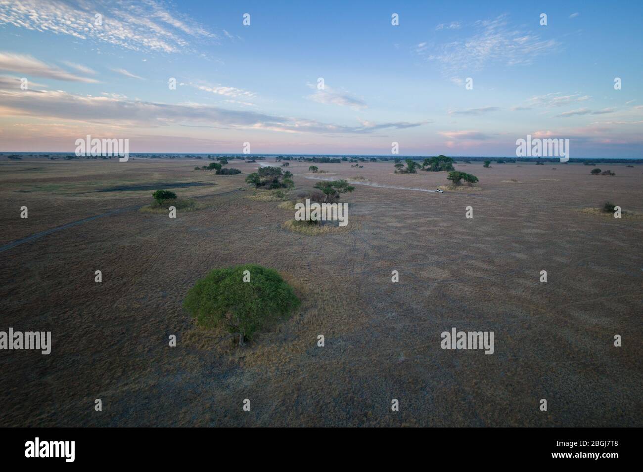 Busanga Plains est une destination de safari exclusive dans le parc national de Kafue, province du Nord-Ouest, Zambie. Banque D'Images