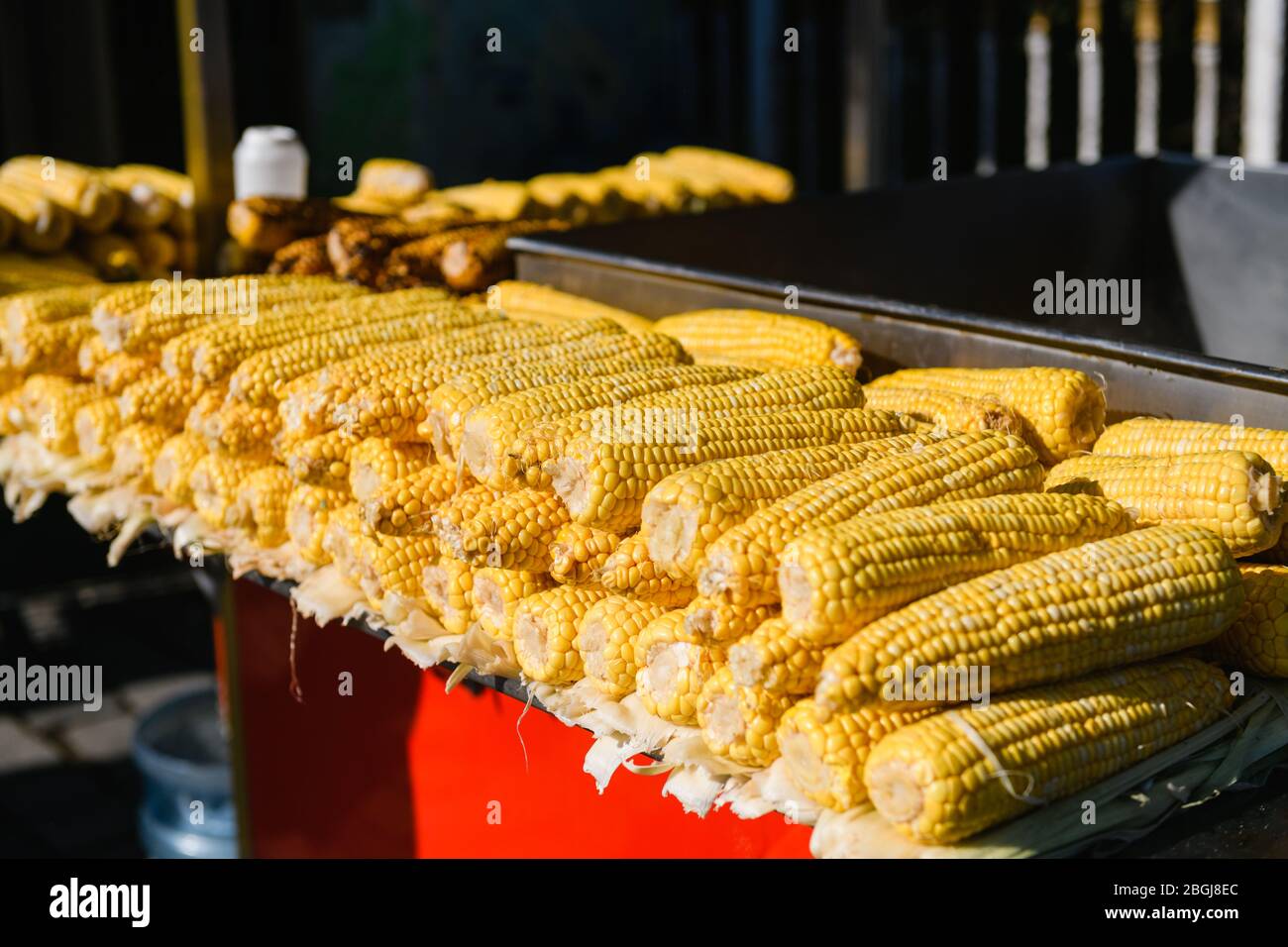 Épis de maïs en rangée sur le marché Banque D'Images