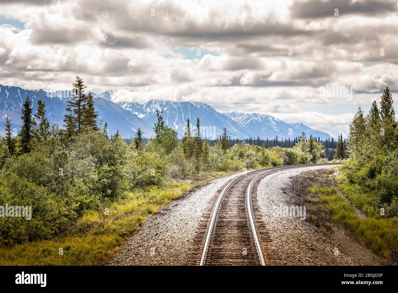 Chemin de fer au parc national Denali, Alaska, États-Unis Banque D'Images