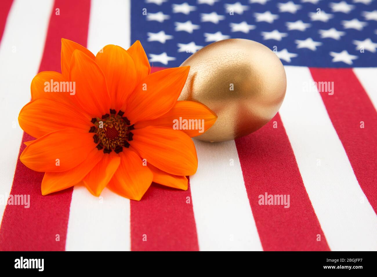 La brillante Marguerite orange avec oeuf d'or sur le dessin du drapeau rouge, blanc et bleu reflète les espoirs et les rêves économiques américains Banque D'Images