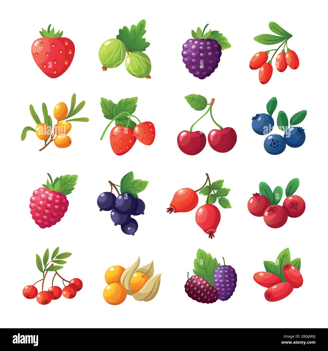 Baies de dessin animé. Fraises, framboises, cerises, groseilles à maquereau, bleuets, canneberges vectorielles isolées sur fond blanc. Ensemble de fruits et de fruits sains illustration Illustration de Vecteur