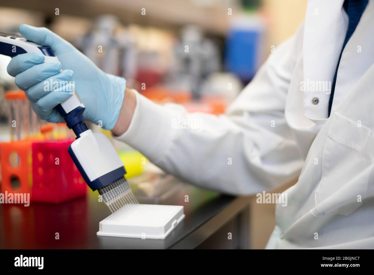 Le scientifique utilise une pipette multicanaux dans un laboratoire scientifique Banque D'Images