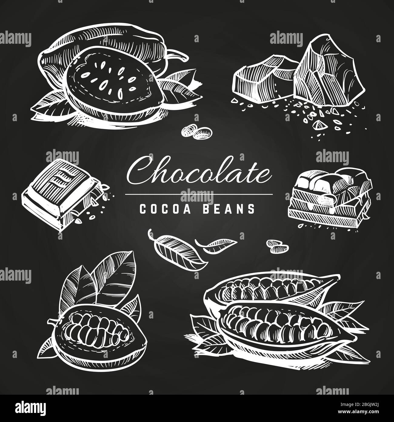 Dessin à la main de tranches de chocolat et de fèves de cacao isolées sur le tableau noir. Illustration vectorielle Illustration de Vecteur