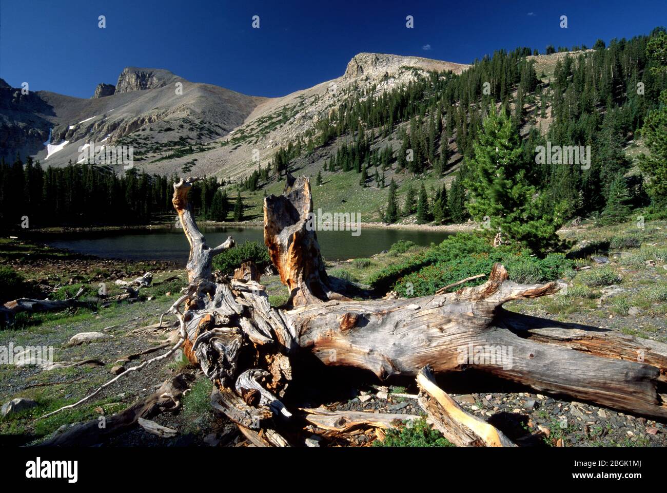 Lac Stella, Parc national du Grand bassin, Nevada Banque D'Images