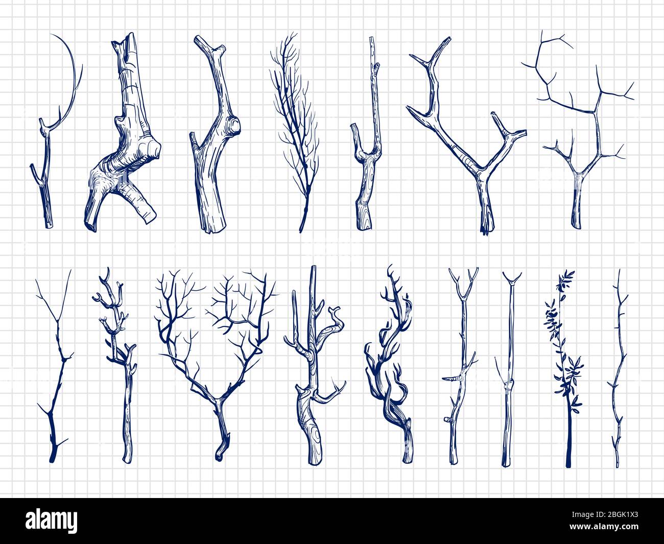 Collection de branches de bois tracées à la main. Croquis en bois sur la page du bloc-notes. Illustration vectorielle Illustration de Vecteur