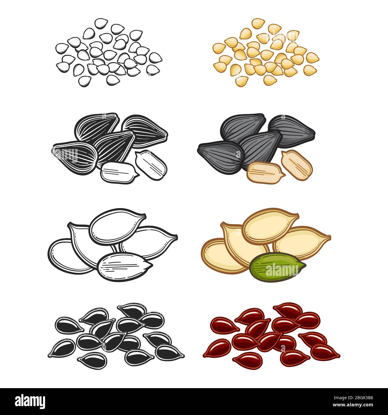 Illustration vectorielle d'esquisse de grains populaires. Graines de ligne et de dessin animé sur blanc Illustration de Vecteur
