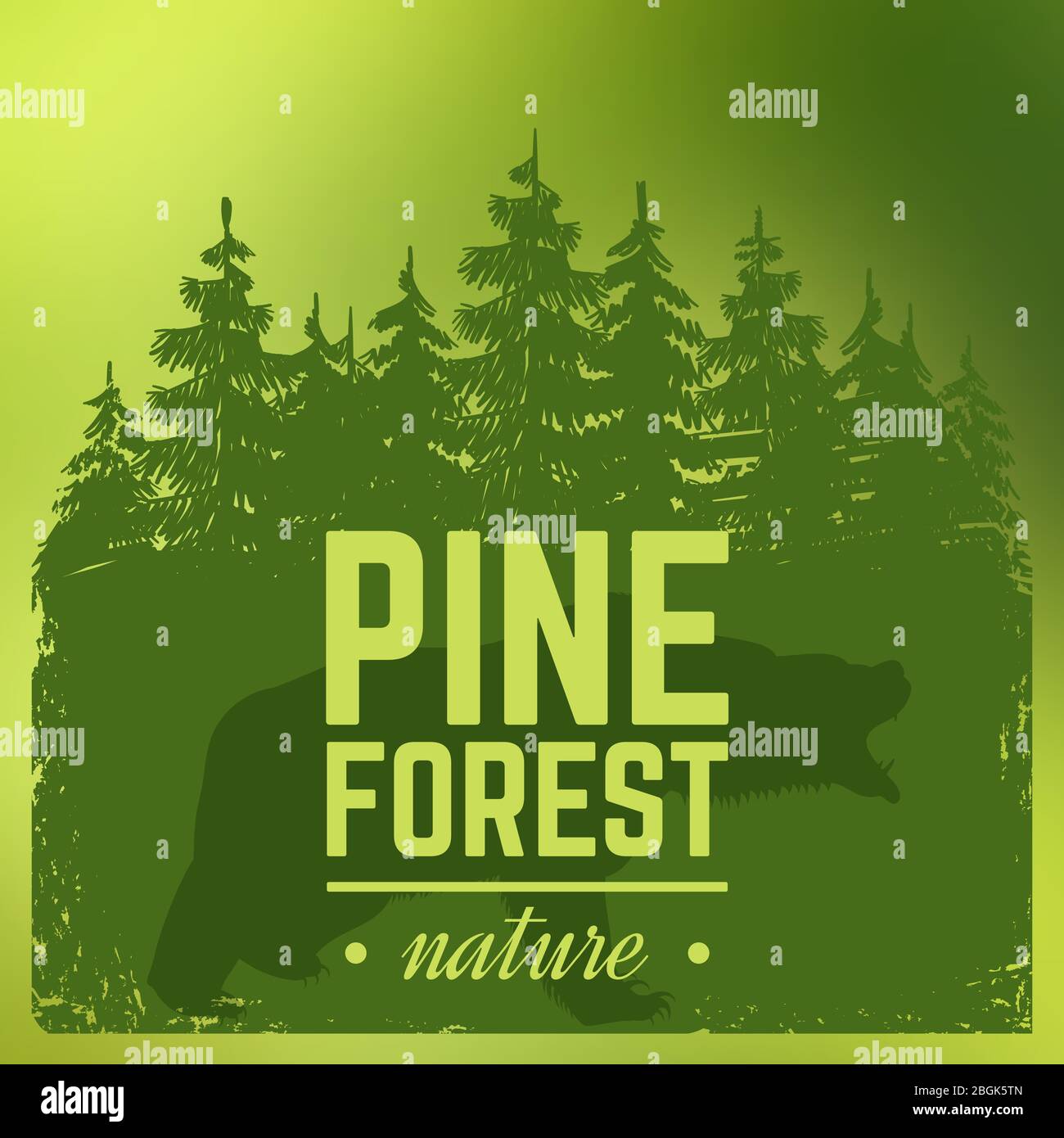 Silhouette de forêt de pins avec ours sauvage sur fond vert. Illustration d'arrière-plan du vecteur de nature Illustration de Vecteur