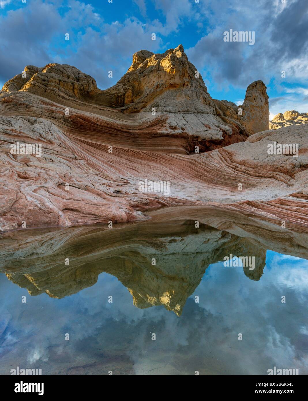 Réflexions, falaises de grès blanc, poche, Vermillion Cliffs National Monument, Arizona, Plateau Paria Banque D'Images