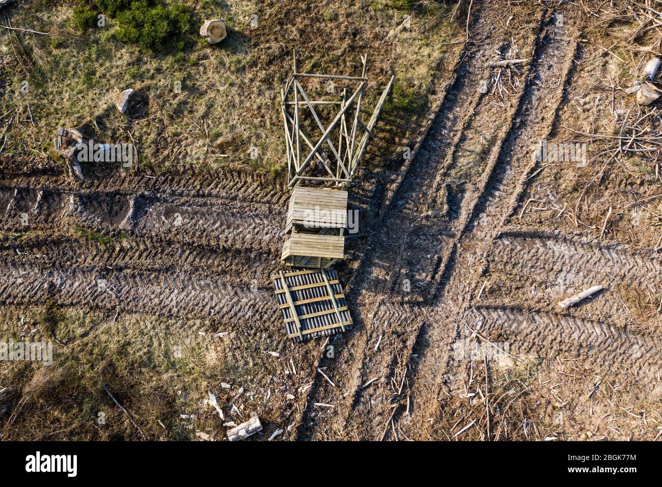 Wehrheim, Allemagne. 16 avril 2020. Une cachette surélevée qui a été victime de la tempête se trouve sur une forêt endommagée par la tempête. La forêt affectée a déjà été effacée par la forêt. Les forêts de Hesse ont été gravement touchées par la tempête, la sécheresse et les ravageurs. En conséquence, il y a un surapprovisionnement en bois et le prix de cette matière première a fortement chuté. (Pour dpa 'Clear-découpage dans la région de Taunus est censé ralentir les scarabéess') crédit: Andreas Arnold/dpa/Alay Live News Banque D'Images