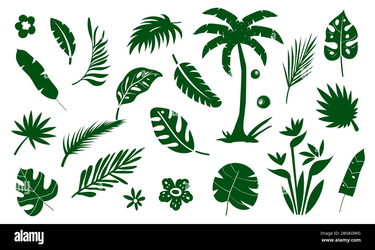Icône plate de la collection Palm Tree. Isolé sur blanc, vecteur Illustration de Vecteur