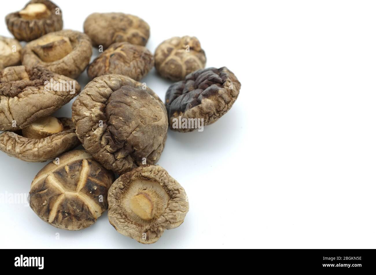 Champignons shiitake secs sur fond blanc Banque D'Images