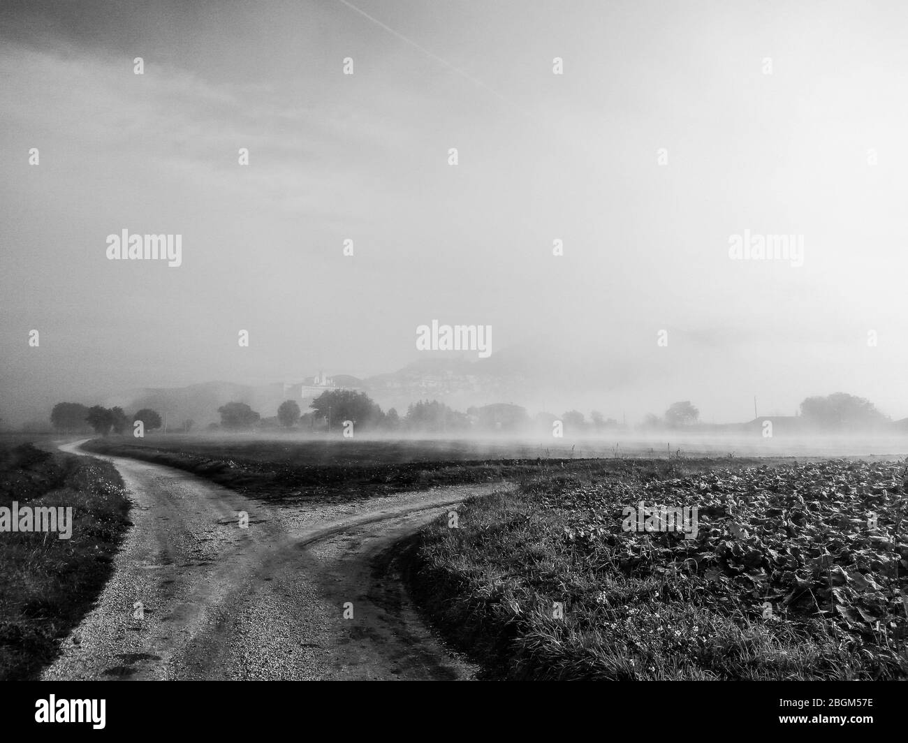 Vue surréaliste de l'église d'Assise et de Saint François (Ombrie, Italie) au milieu du brouillard avec un carrefour au premier plan Banque D'Images