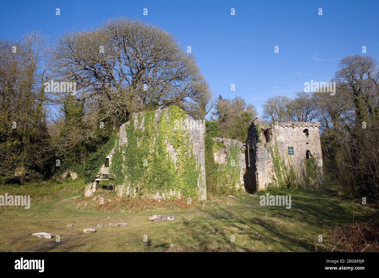 Château de Candleston dans un après-midi de printemps avec arbres entrant dans le bourgeon Banque D'Images