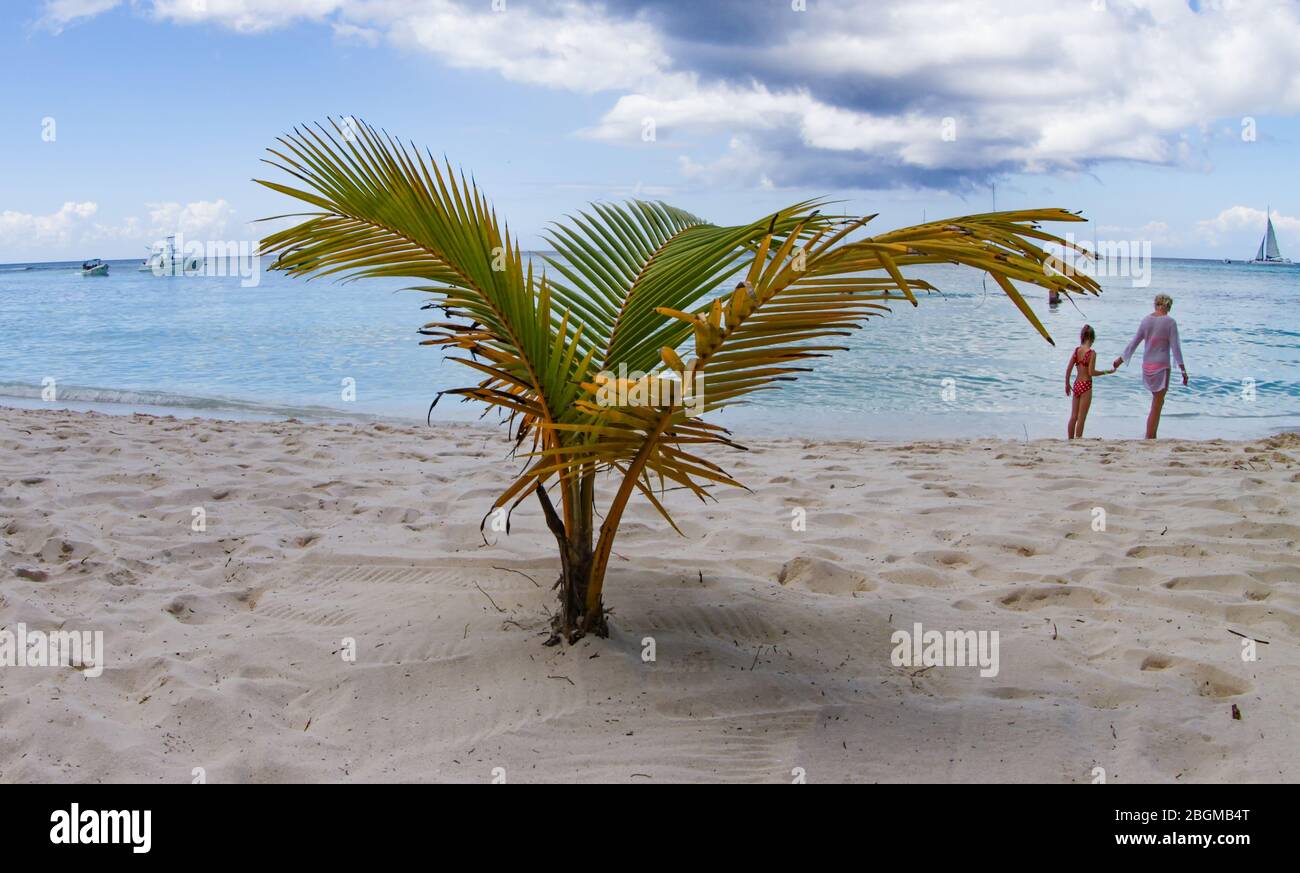 Une mère et une fille tiennent les mains pendant qu'ils aiment l'île Saona ensemble. Banque D'Images