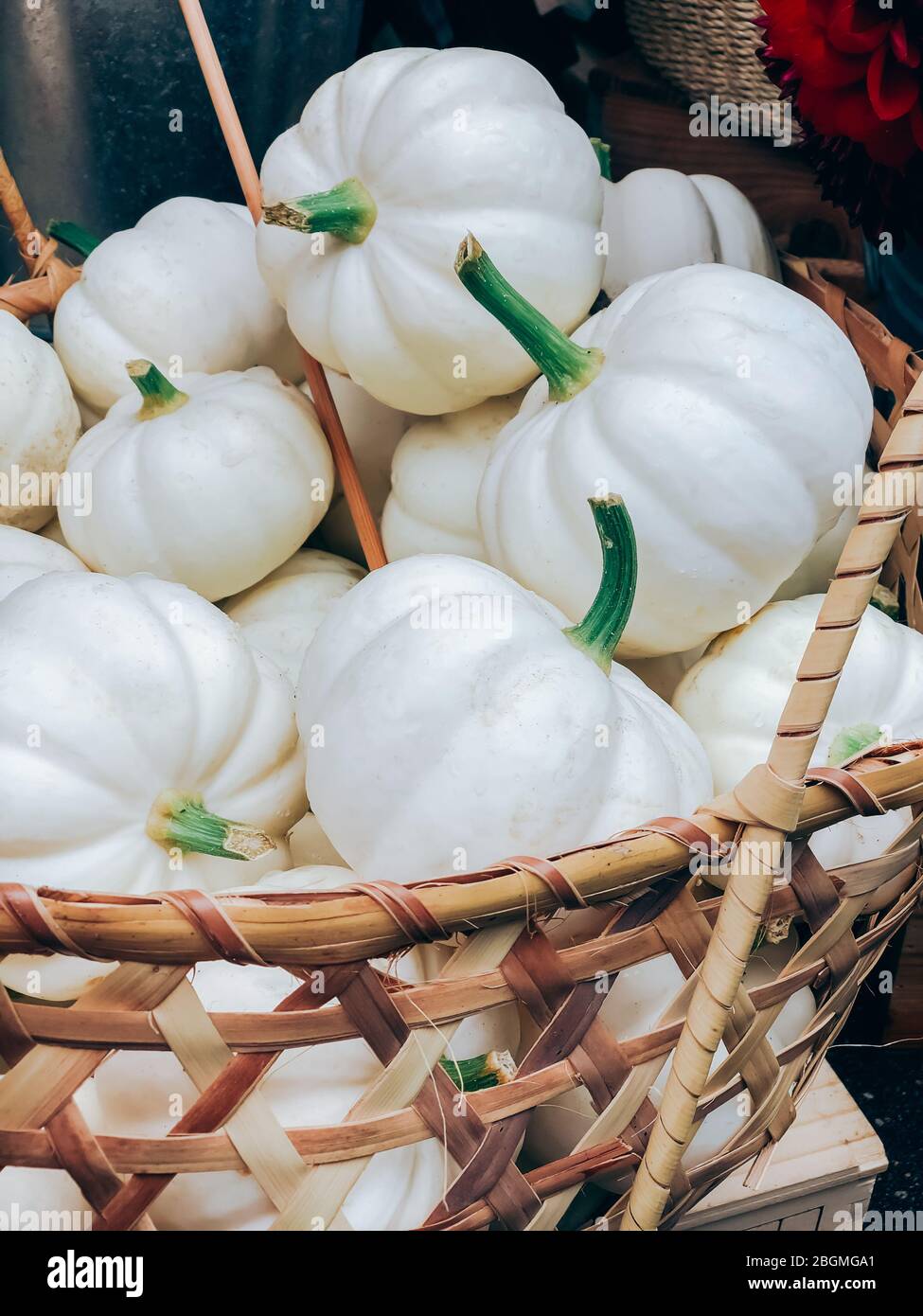 Belle pile de citrouilles blanches fraîches et décoratives dans le panier dans la petite boutique de fleuristes. Style moderne rustique arrangement dans un style de vie éco durable naturel l Banque D'Images