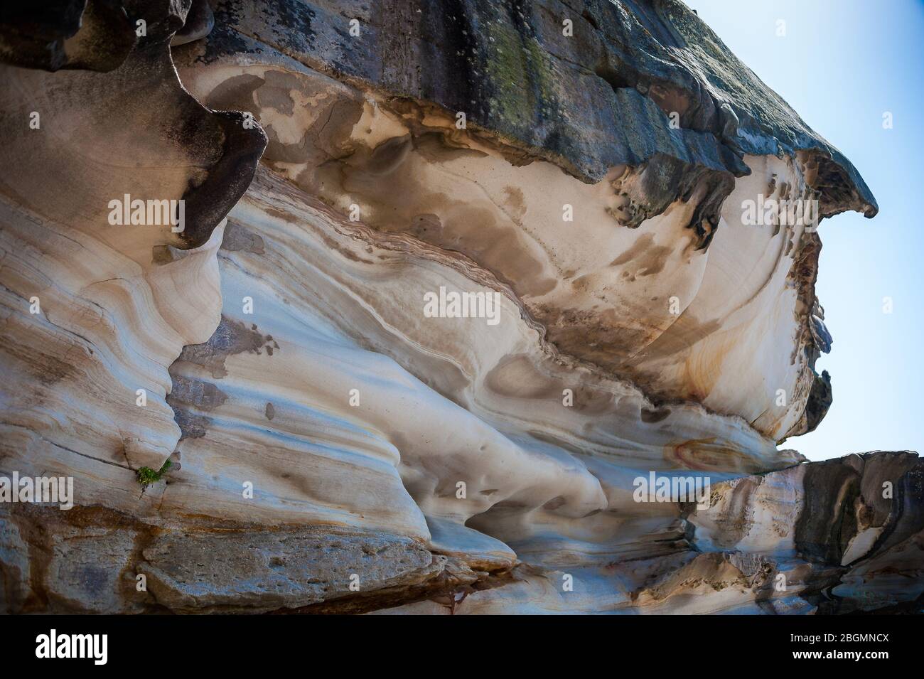 Formations rocheuses érodées par le vent et l'eau le long de la falaise de Bondi à Coogee promenade dans la banlieue est de Sydney, Australie. Banque D'Images