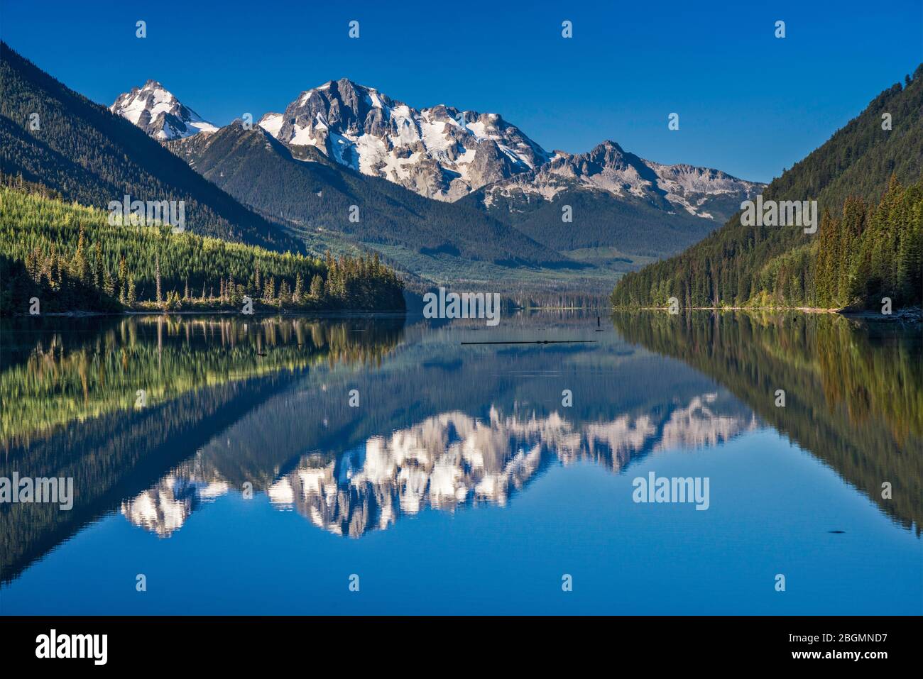 Mount Rohr au-dessus du lac Duffey, de la route Sea to Sky, des chaînes du Pacifique des montagnes côtières, à l'est de Pemberton, Colombie-Britannique, Canada Banque D'Images