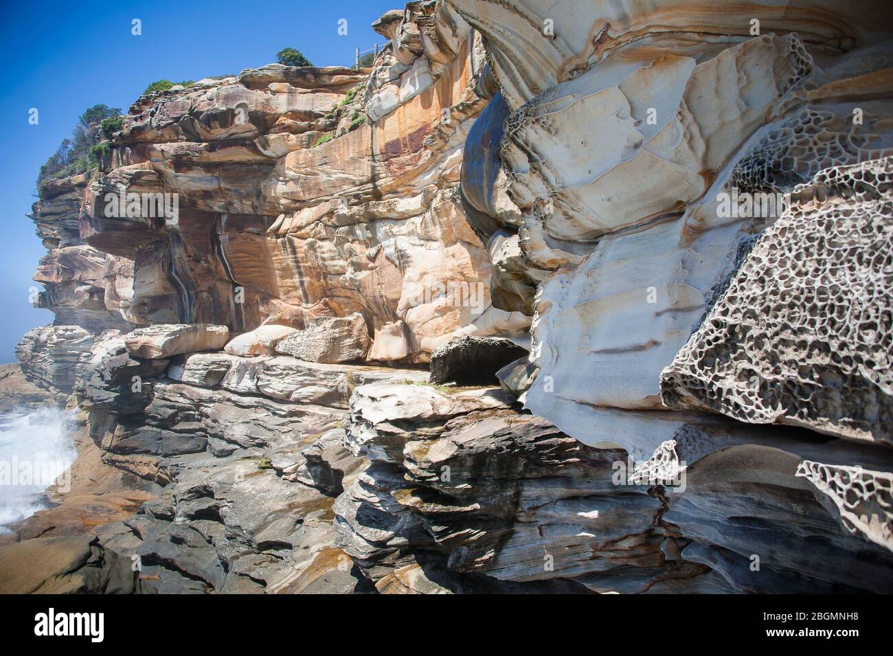 Des formations de roche spectaculaires érodé par le vent et l'eau le long de la falaise de Bondi à Coogee promenade dans la banlieue est de Sydney, Australie. Banque D'Images