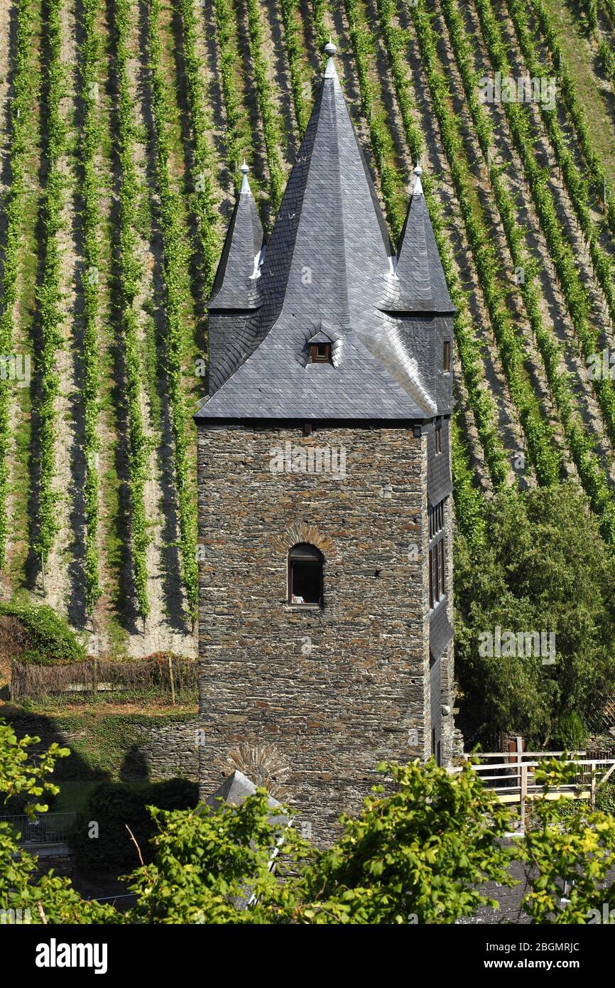 Vignoble et Steeger Tor, Bacharach am Rhein, site classé au patrimoine mondial de l'UNESCO, Haute-vallée du Rhin moyen, Rhénanie-Palatinat, Allemagne Banque D'Images