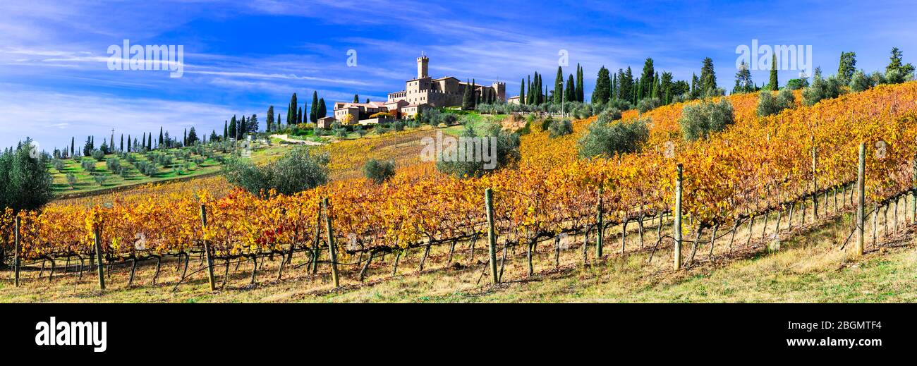 Castello di Banfi et vinyrds dorés. Campagne toscane traditionnelle. Région viticole célèbre de l'Italie. Banque D'Images