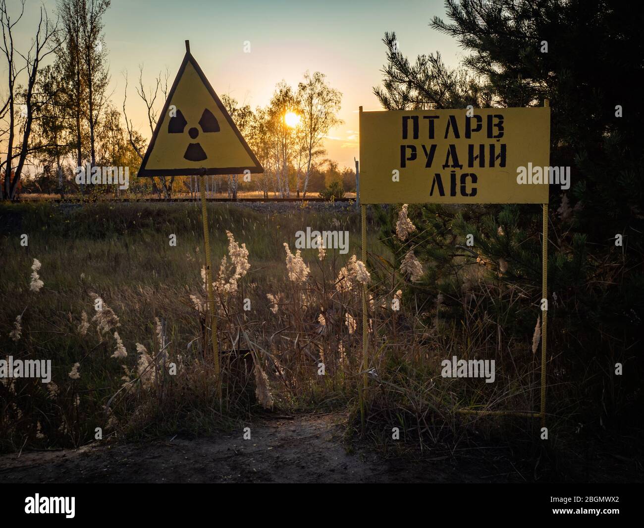Signe d'avertissement de rayonnement avec le nom - "Red Forest" en langue ukrainienne. Zone d'exclusion de Tchernobyl. Ukraine. Banque D'Images