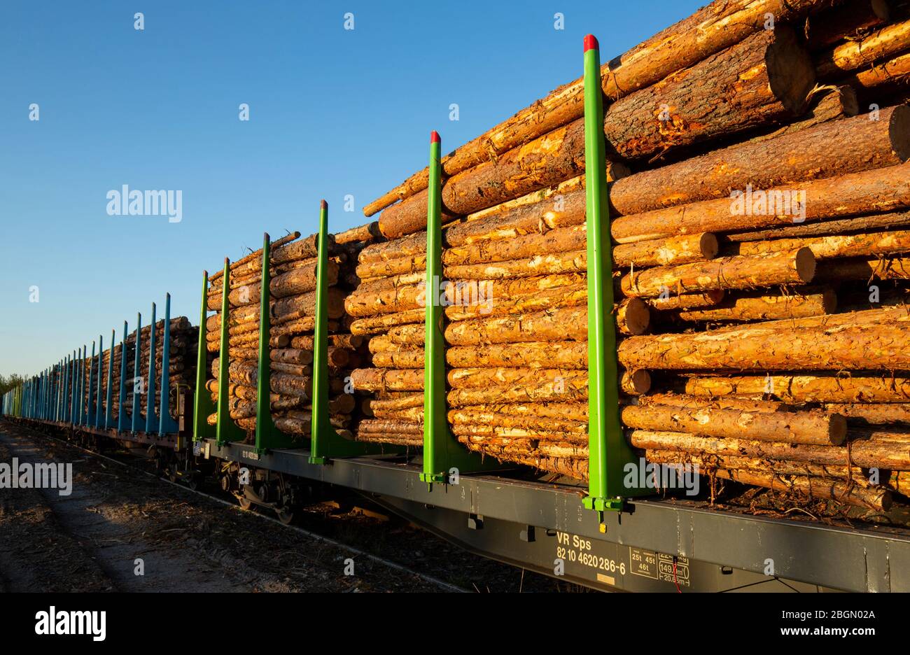 Vue de train de grumes de fret arrêté, long et plein , chargé de grumes de pin , transport d'attente en utilisant des voitures ouvertes plates avec des piquets de cadre en métal , Finlande Banque D'Images