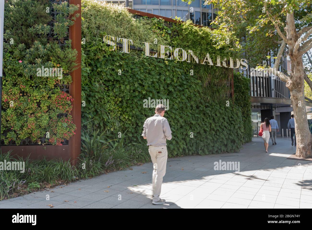 Le premier mur respiratoire au monde, construit par la firme australienne Junglefy à St Leonards, Sydney utilise des ventilateurs internes pour aspirer et filtrer l'air local pollué Banque D'Images