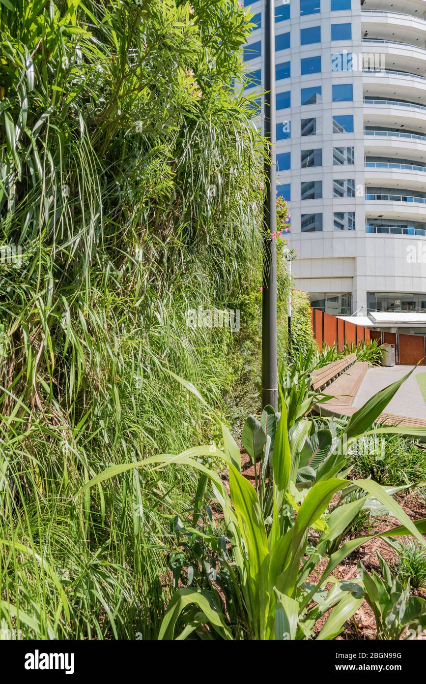 Le premier mur respiratoire au monde, construit par la firme australienne Junglefy à St Leonards, Sydney utilise des ventilateurs internes pour aspirer et filtrer l'air local pollué Banque D'Images