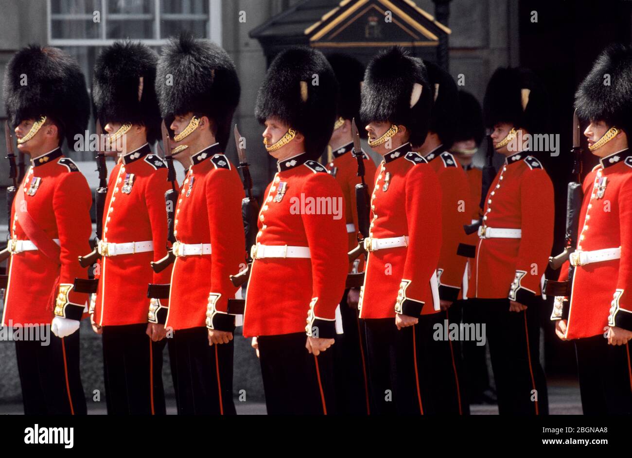 Les Grenadier Guards défilent la couleur standard lors de la relève de