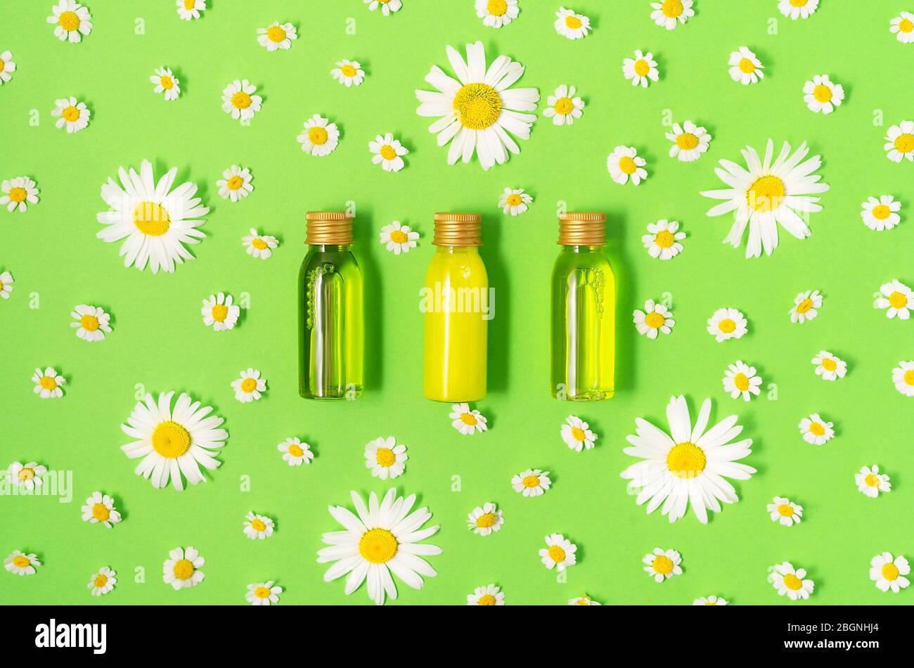 Mise à plat des petites bouteilles de maquettes avec spa produits cosmétiques sur fond vert avec des fleurs de camomille. Femmes beauté et salon de beauté Banque D'Images