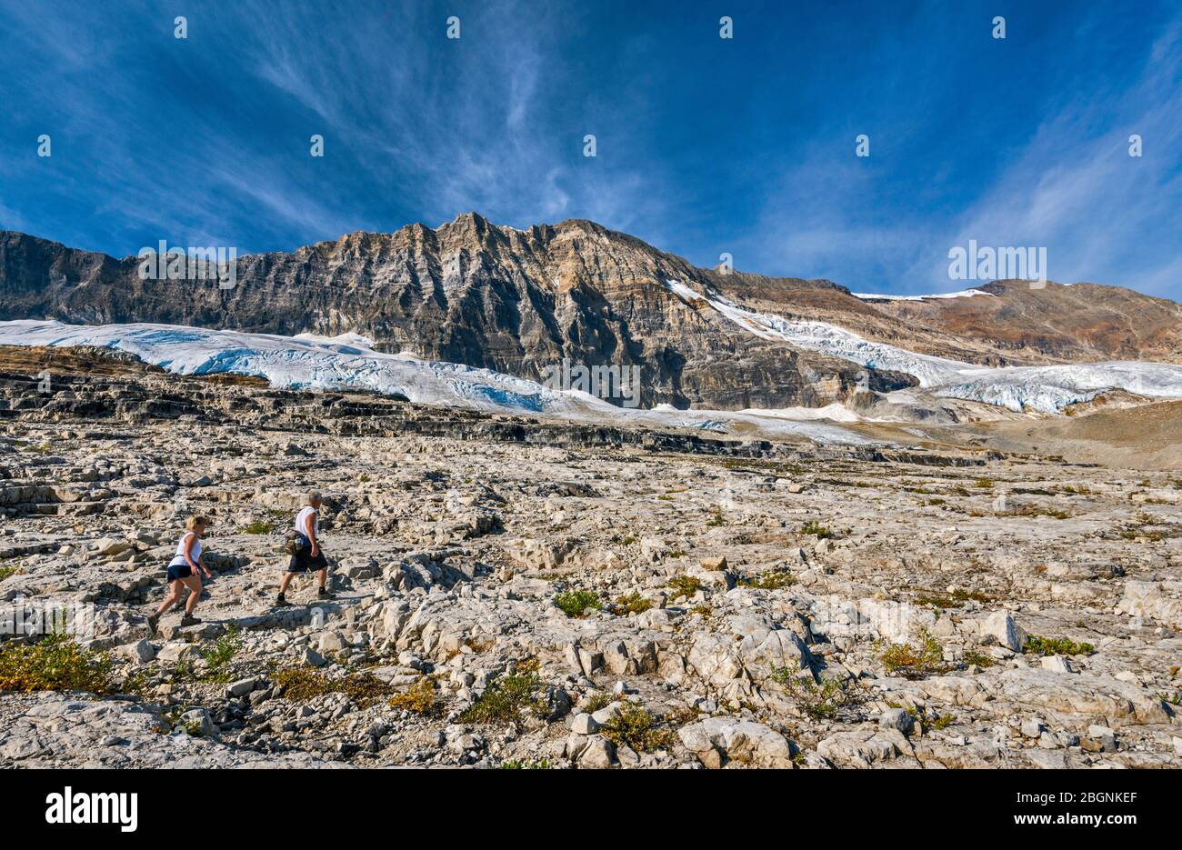 Randonneurs sur la piste Iceline en septembre, langues du glacier Emeraude sous la chaîne du président, Rocheuses canadiennes, parc national Yoho, Colombie-Britannique, Canada Banque D'Images