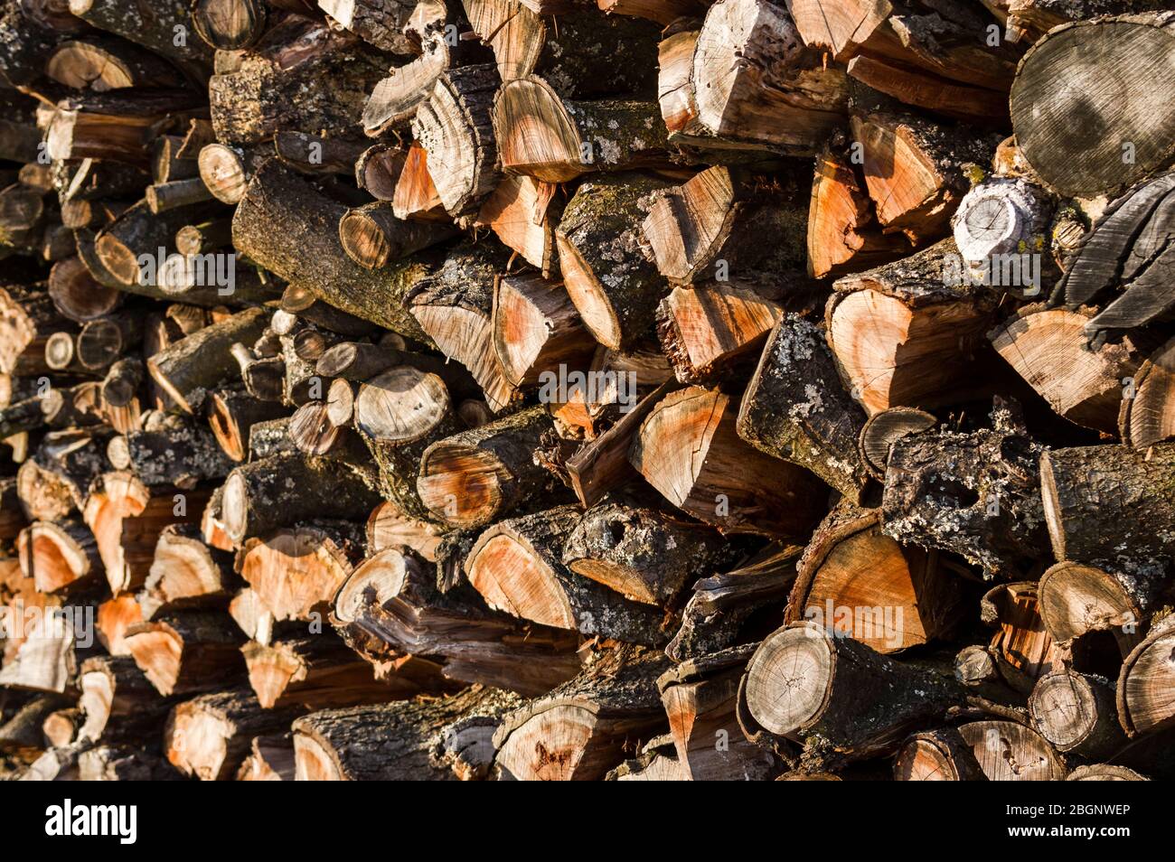Pile de bois de bois de chauffage empilé et de petit bois à sécher pour le bois de chauffage, le bois de chauffage, la matière première, la location de bois avec un foyer sélectif Banque D'Images