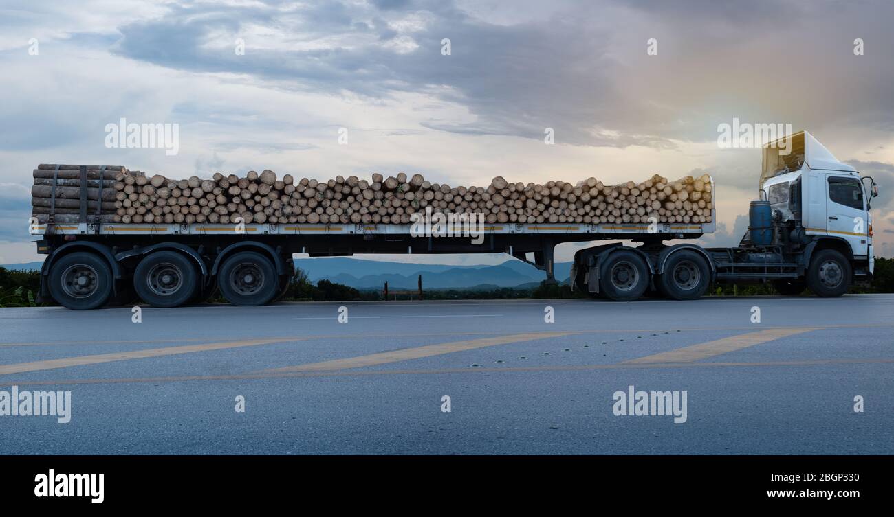 Camions blancs chargés en bois arrivant et garez sur la route asphaltée dans un paysage rural à la montagne et sur le nuage fond, le concept de transport Banque D'Images